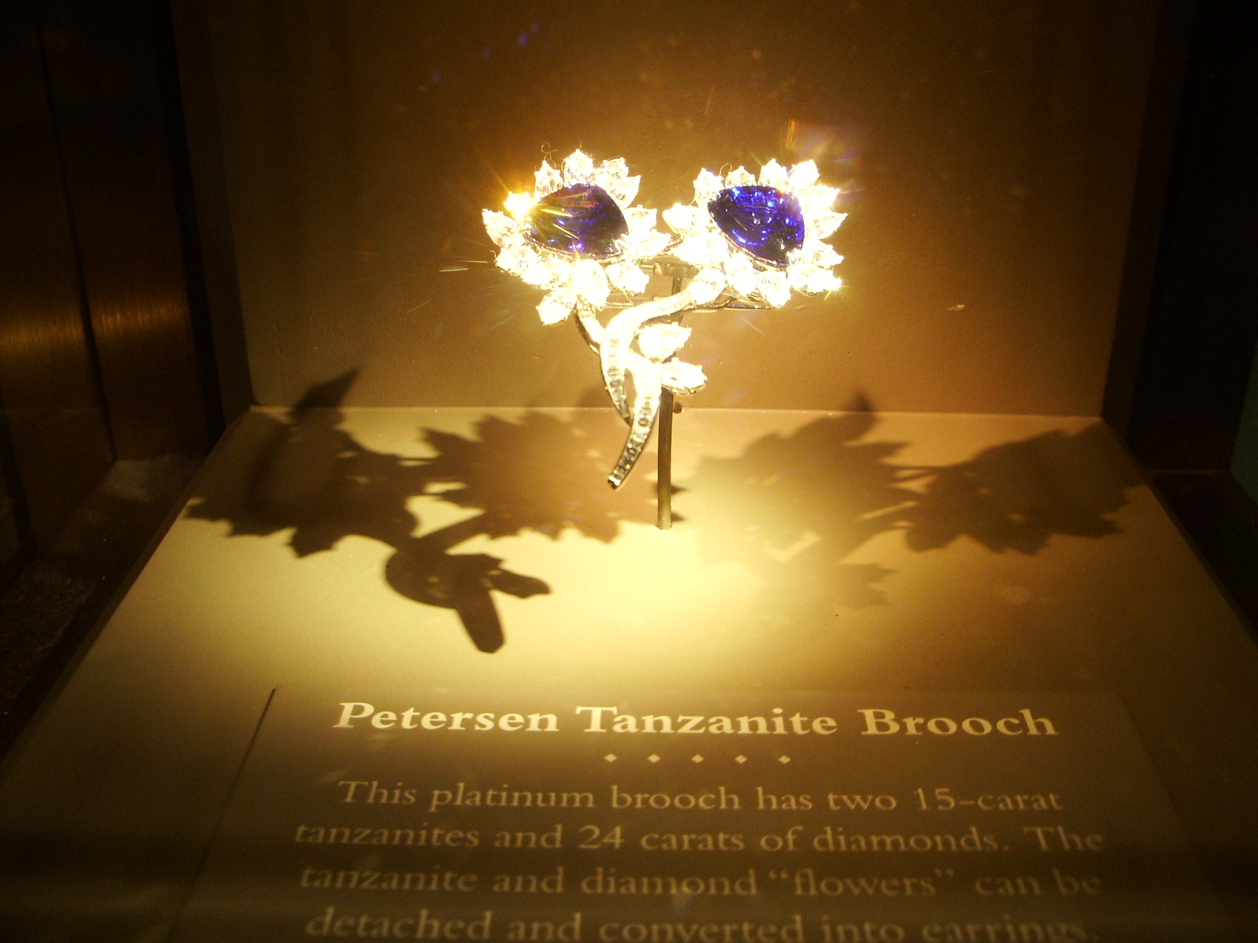 Peterson Tanzanite Broach at the Smithsonian Museum of Natural History